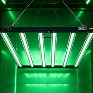 Grow Lighting